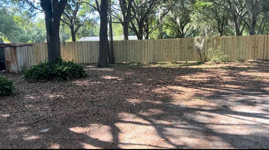 New Front Fence