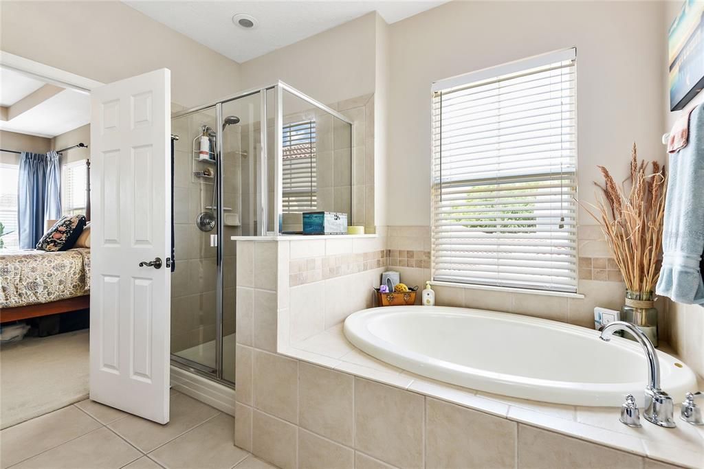 Separate soaking tub and separate shower