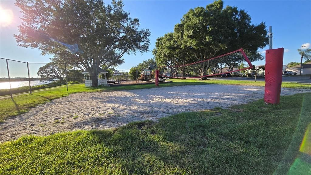 Volleyball Court