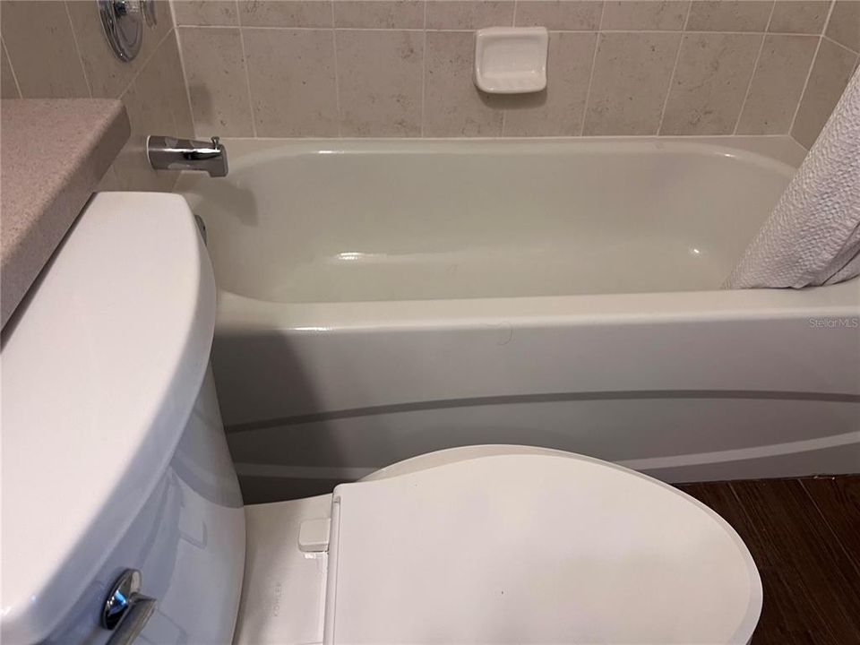 guest bath tub