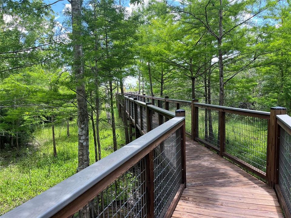 walkway to fishing dock