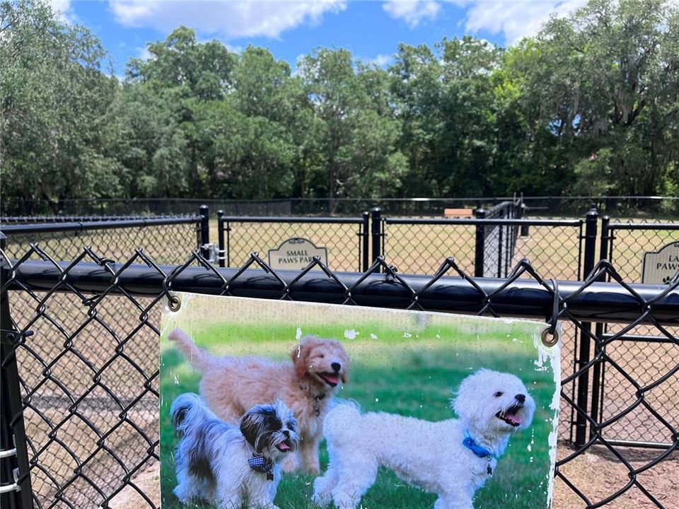 Doggy Park