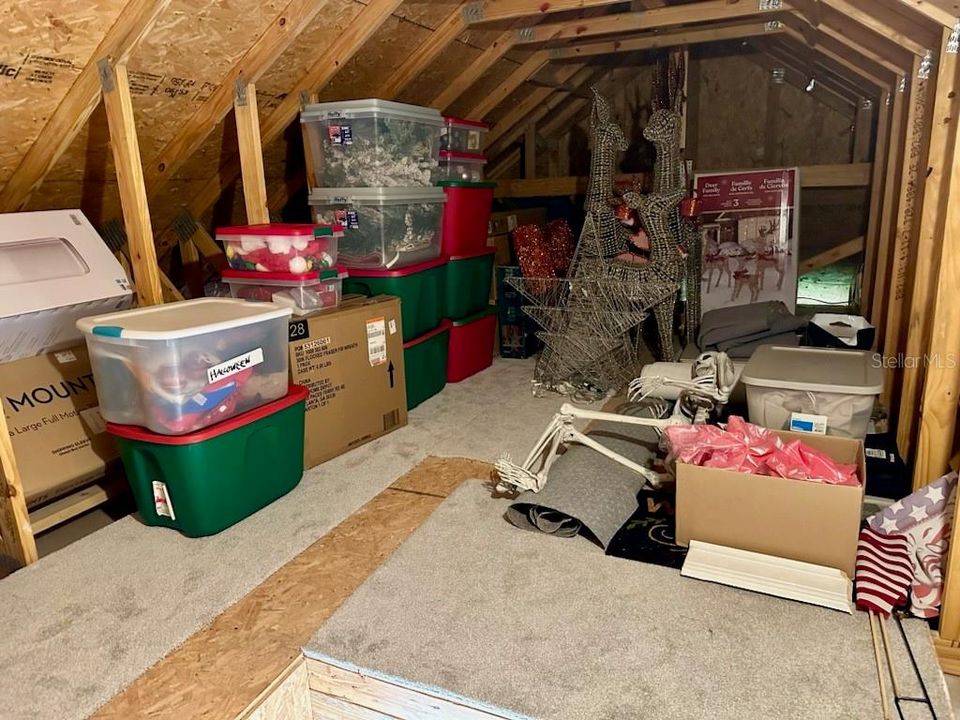 Stand Up Storage in Attic