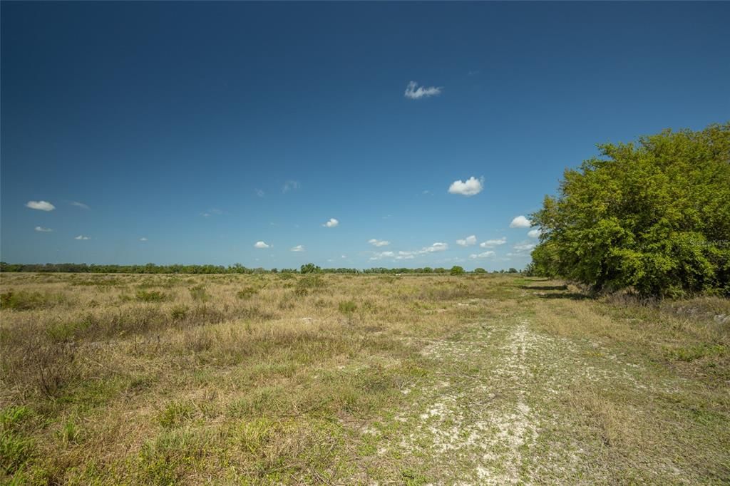 For Sale: $5,800,777 (123.00 acres)