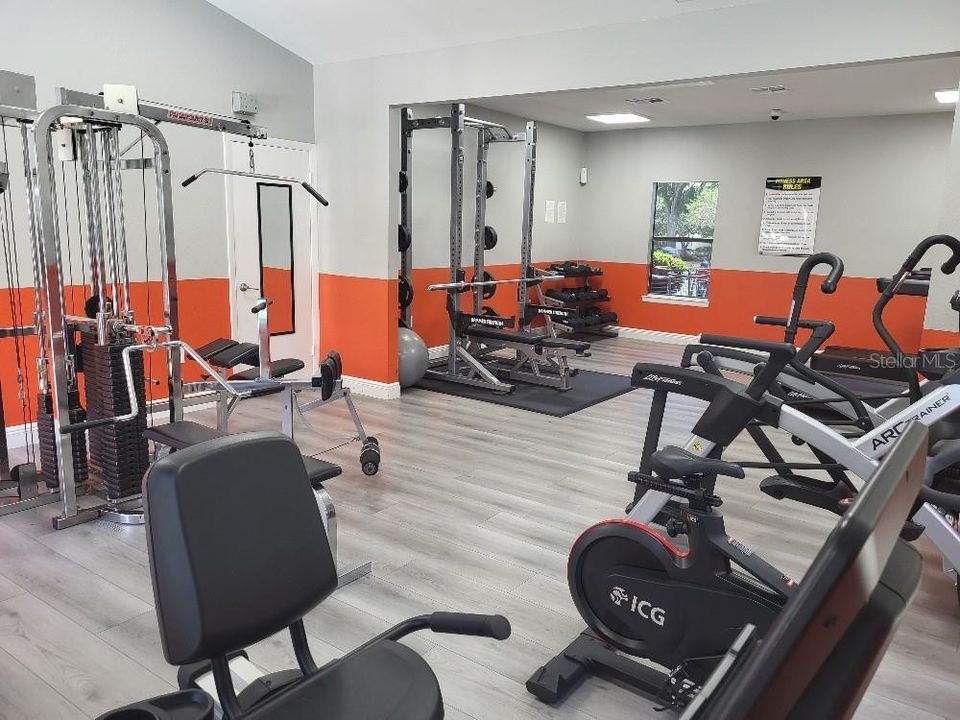 Brand new gym equipment and remodel