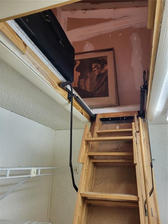 Pull-down stairs to the attic in the master walk-in closet.