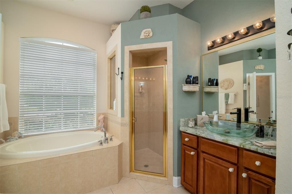 Nice soaking tub, walk in shower and tall vanity with granite countertop