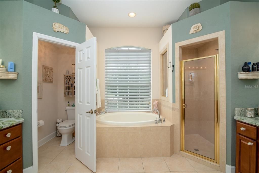 Private water closet, soaking tub and large walk in shower with double vanities