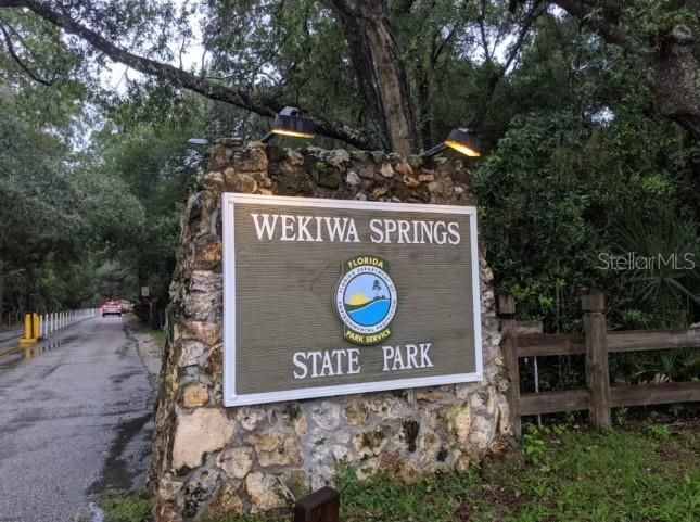 Wekiva Springs