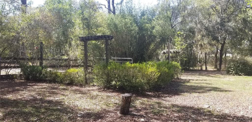 Established 1 acre lot with its own septic and shared well