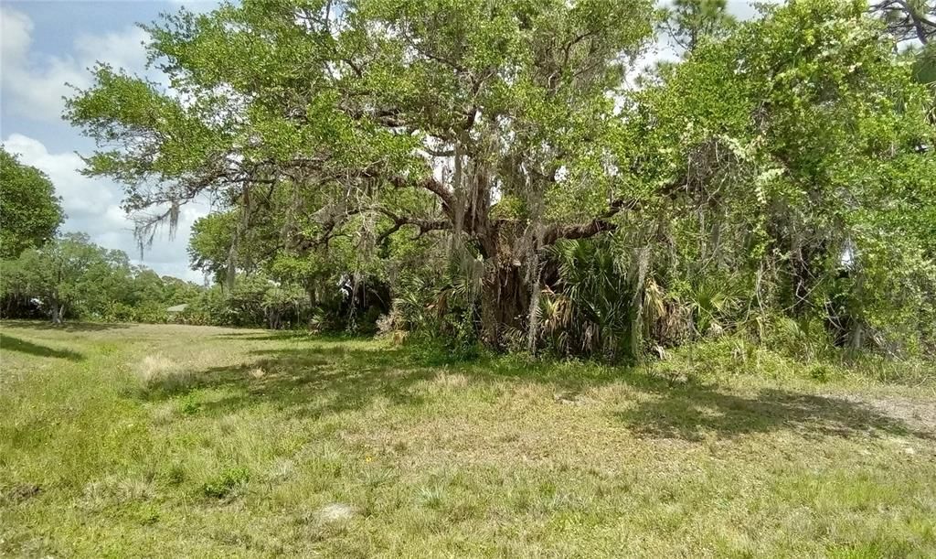 For Sale: $27,900 (0.27 acres)