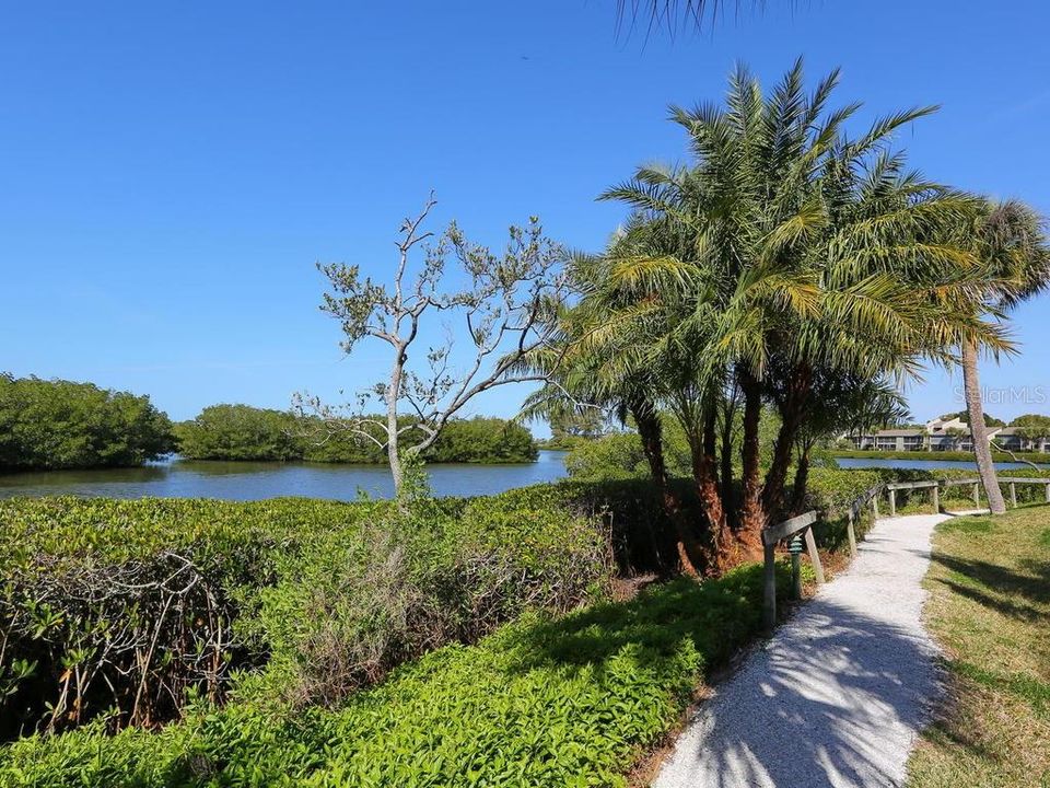 Walkway trail within Pelican Cove and along Sarasota Bay