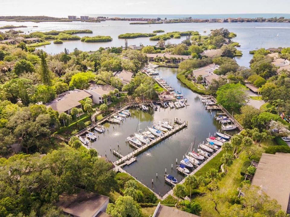 Overview shot of Pelican Cove and Sarasota Bay