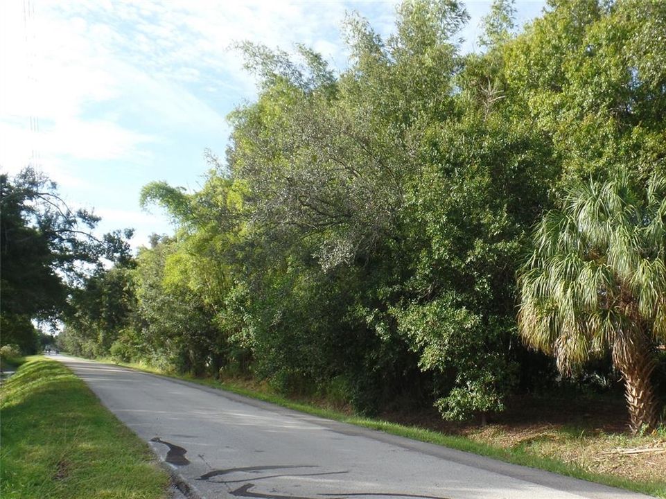 Pinellas Trail behind the building