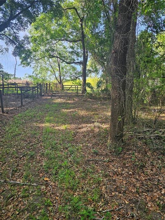 SE boundary to neighbor left, east, and neighbor to south.