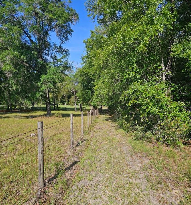 North path following neighbor fence line to property