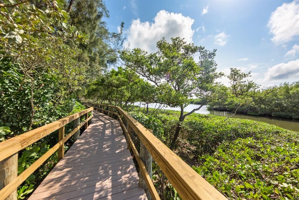 Walking trails along Sarasota bay within Pelican Cove