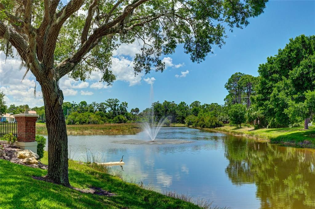 large areas of lakes and preserve for the common areas