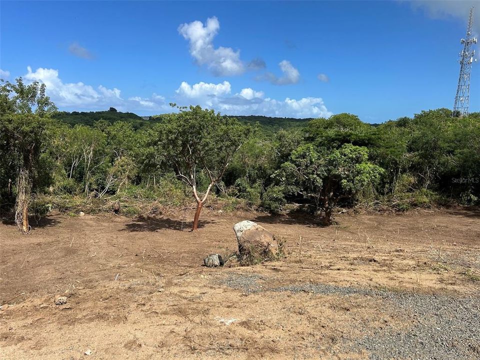 For Sale: $250,000 (3.10 acres)