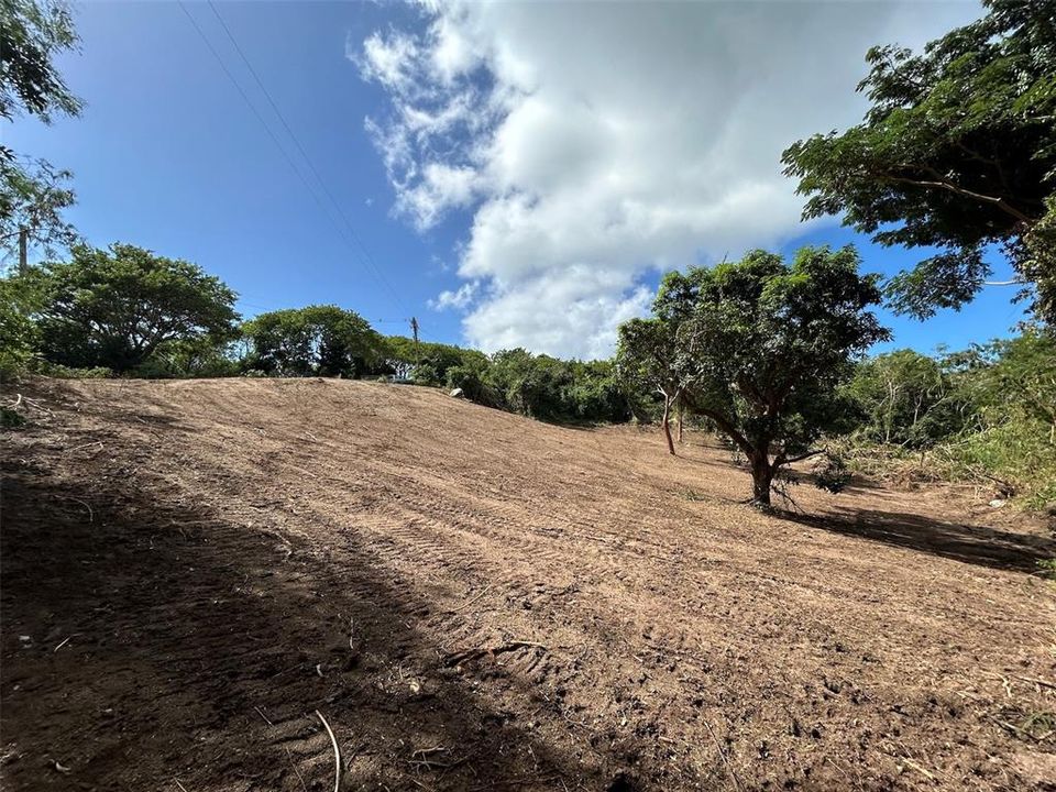 For Sale: $250,000 (3.10 acres)