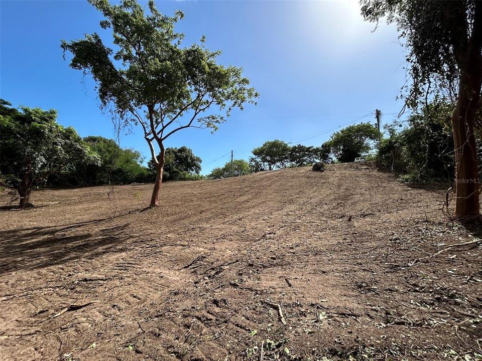 For Sale: $250,000 (3.10 acres)