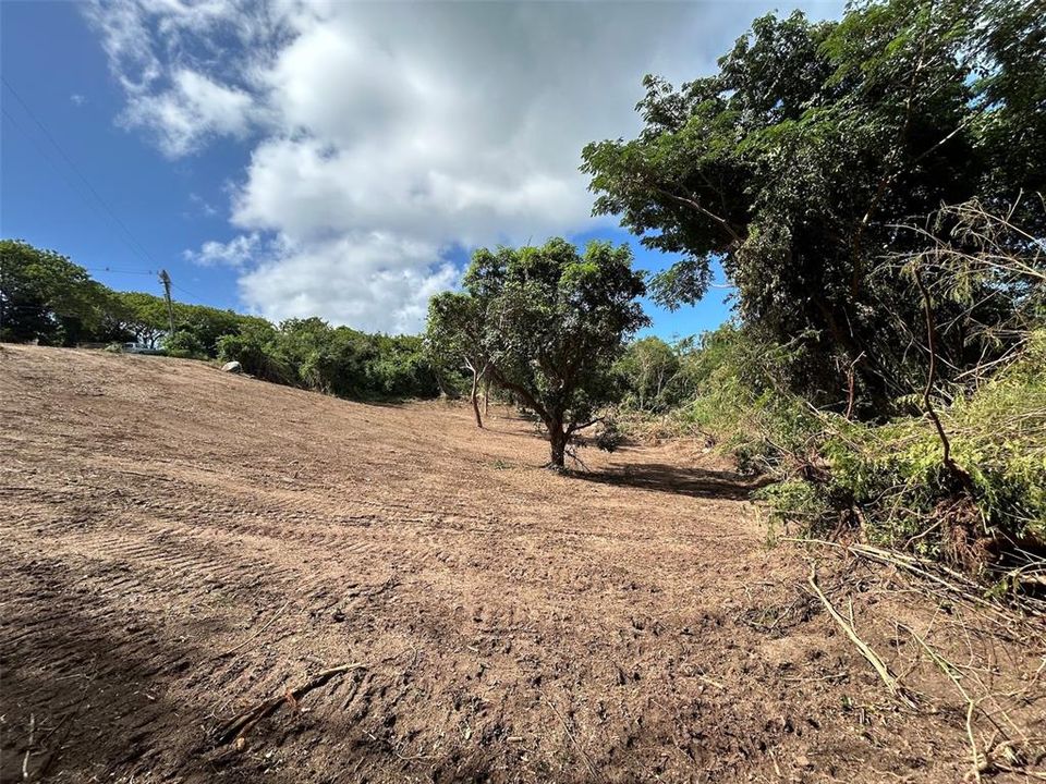 For Sale: $250,000 (3.10 acres)