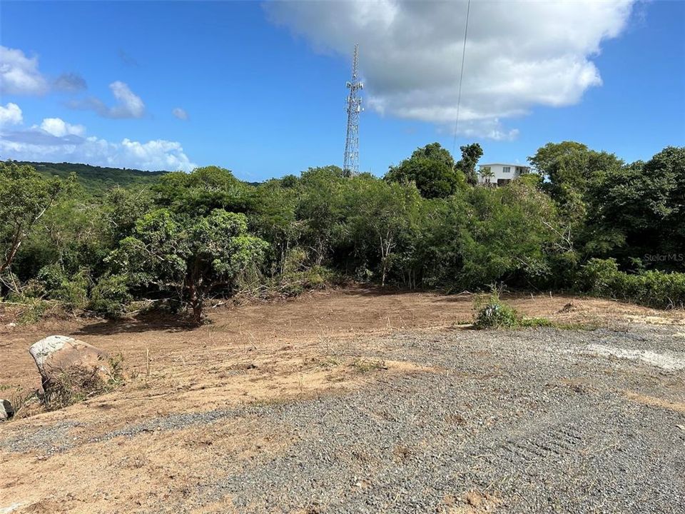 For Sale: $250,000 (3.10 acres)