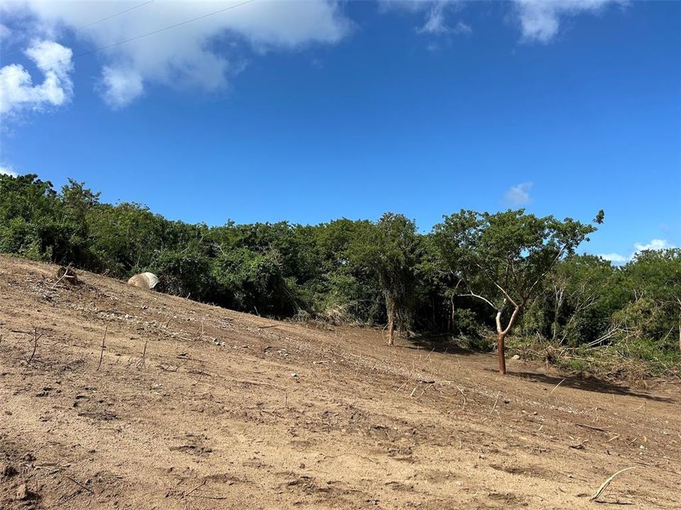 For Sale: $250,000 (3.10 acres)