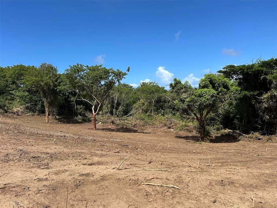 For Sale: $250,000 (3.10 acres)