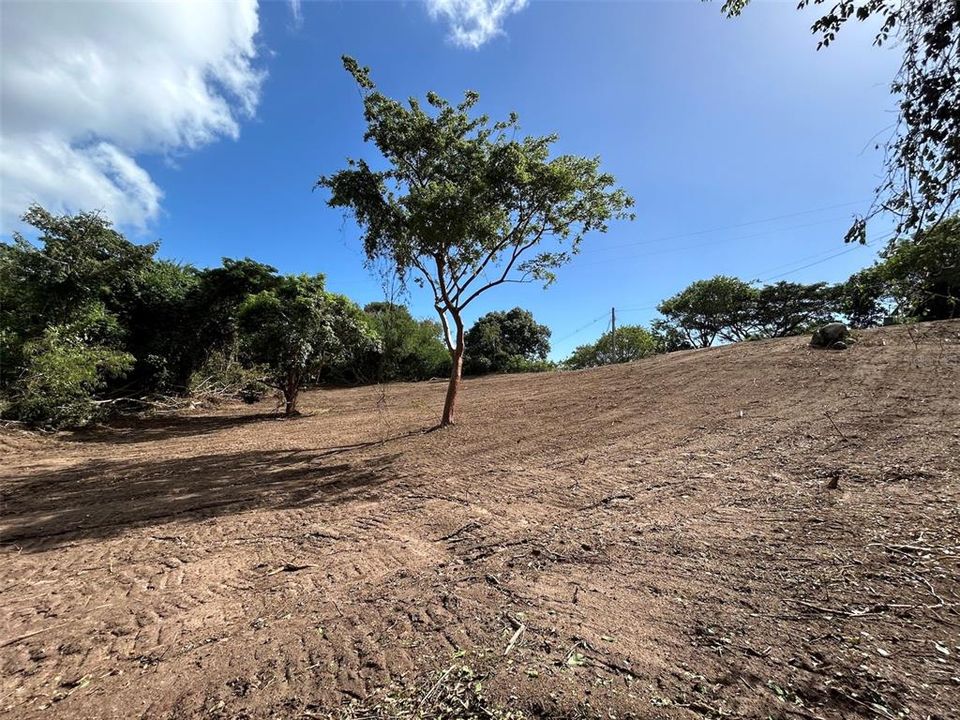 For Sale: $250,000 (3.10 acres)