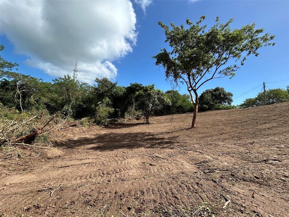 For Sale: $250,000 (3.10 acres)