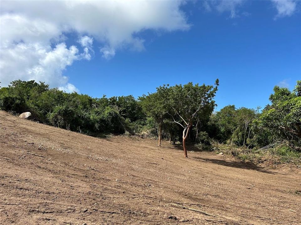 For Sale: $250,000 (3.10 acres)