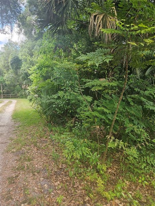 Neighbor Private Driveway view from Lot