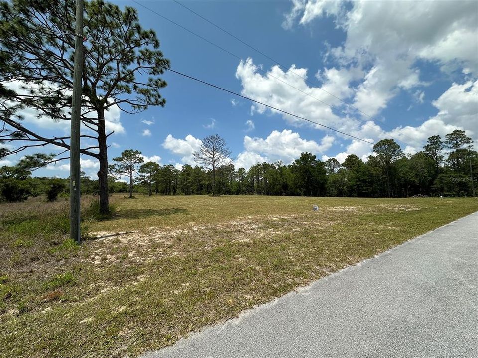 For Sale: $29,950 (0.99 acres)