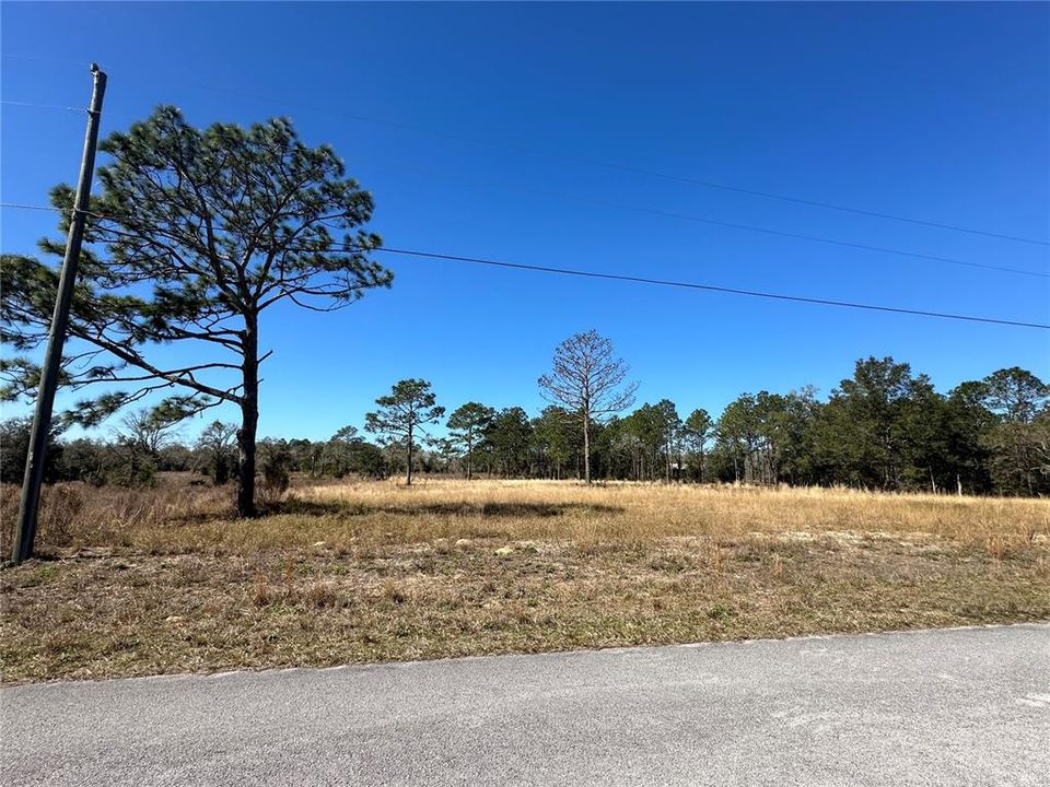 For Sale: $29,950 (0.99 acres)