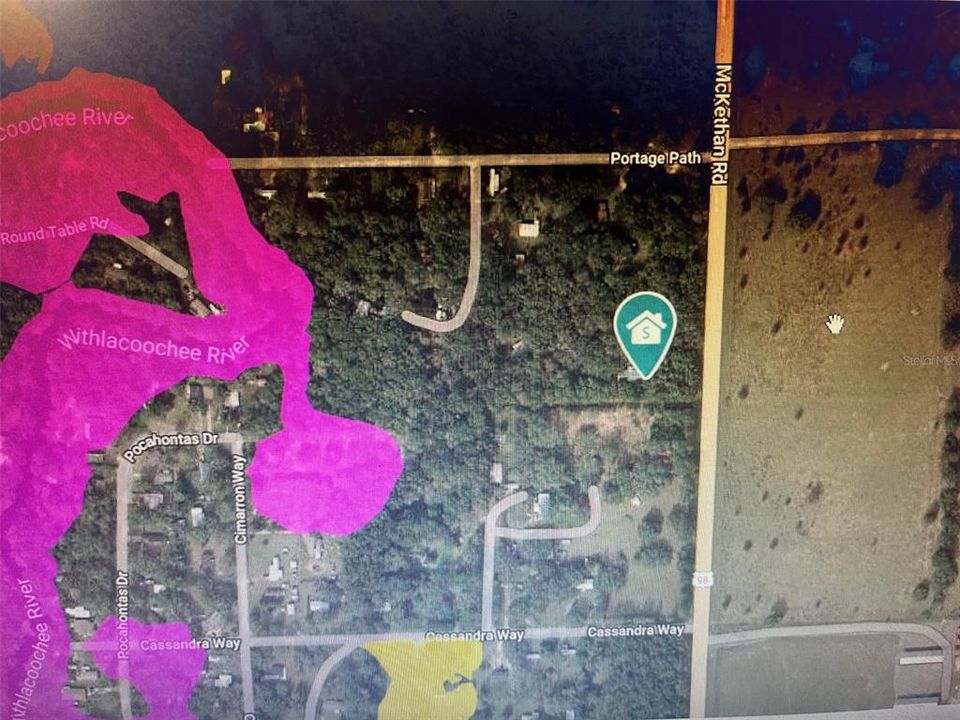 Pink is flood zone of the Withlacoochee River