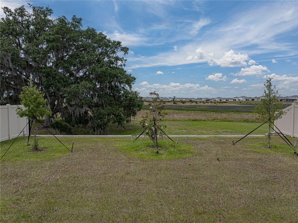 50X221 Private Conservation Lot