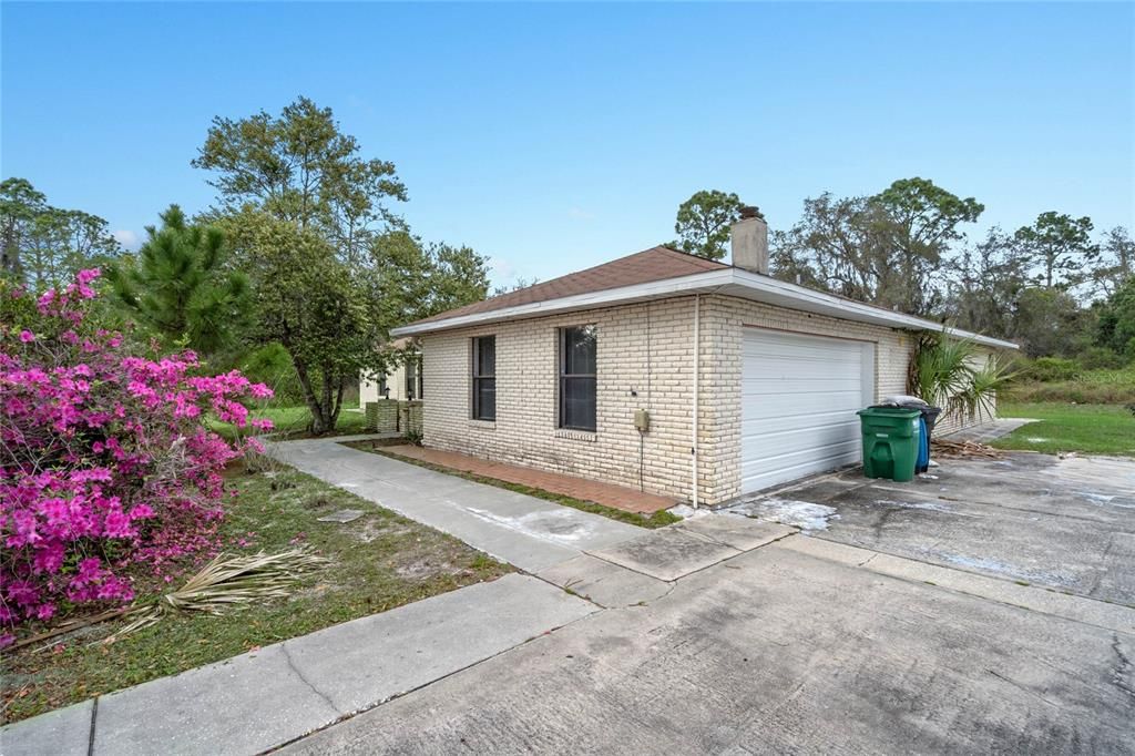 Very large driveway surrounded by lush vegetation