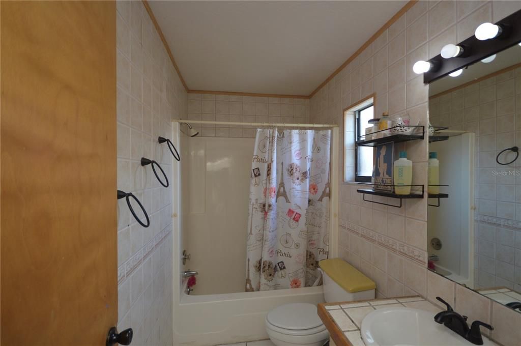 Guest Bath with tub and shower