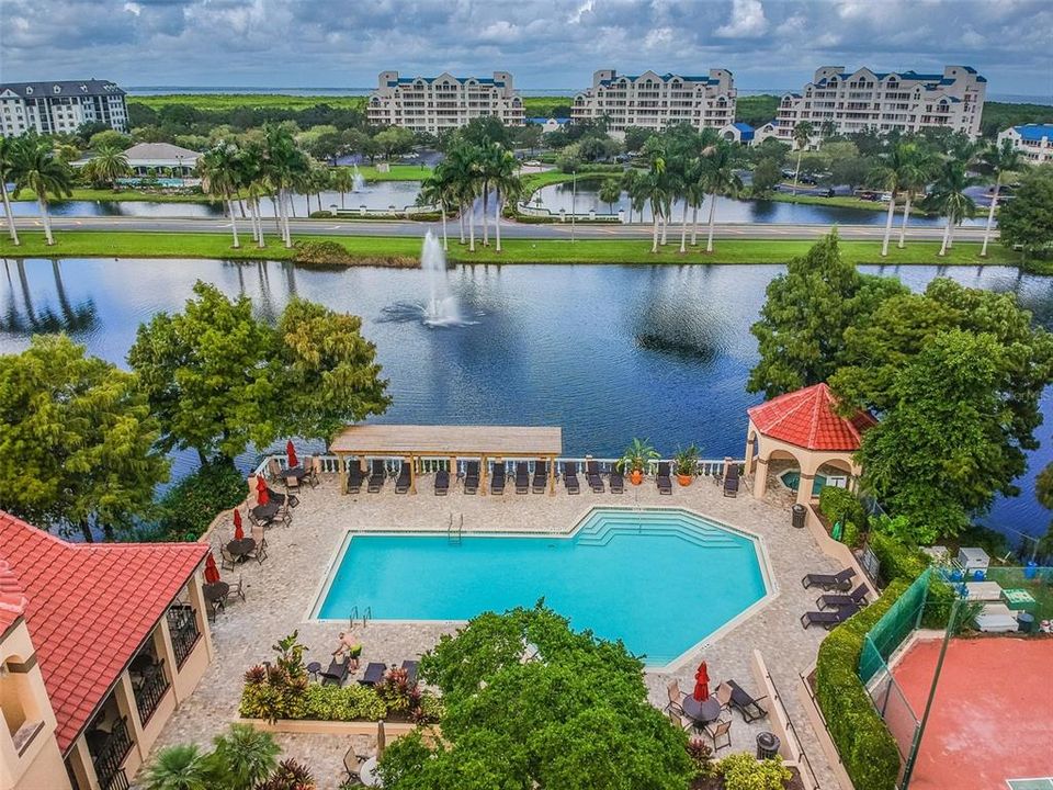 Live a "RESORT STYLE LIFE" at AUDUBON OF FEATHERSOUND! Minutes to St. Petersburg, Tampa and the Airports.