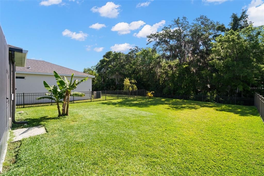 Sprawling back yard complete with nature preserve views and a bronze fencing.