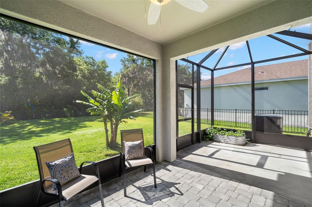 Screened in lanai that has been extended for optimal space with views of the sprawling backyard that backs up to the nature preserve.