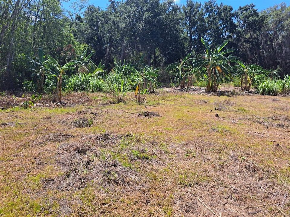 Active With Contract: $32,000 (1.72 acres)