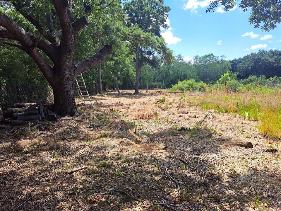 Active With Contract: $32,000 (1.72 acres)