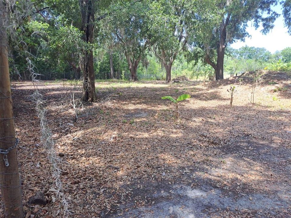 Active With Contract: $32,000 (1.72 acres)