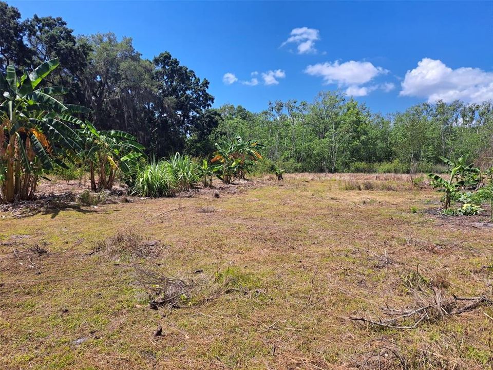 Vendido Recientemente: $32,000 (1.72 acres)