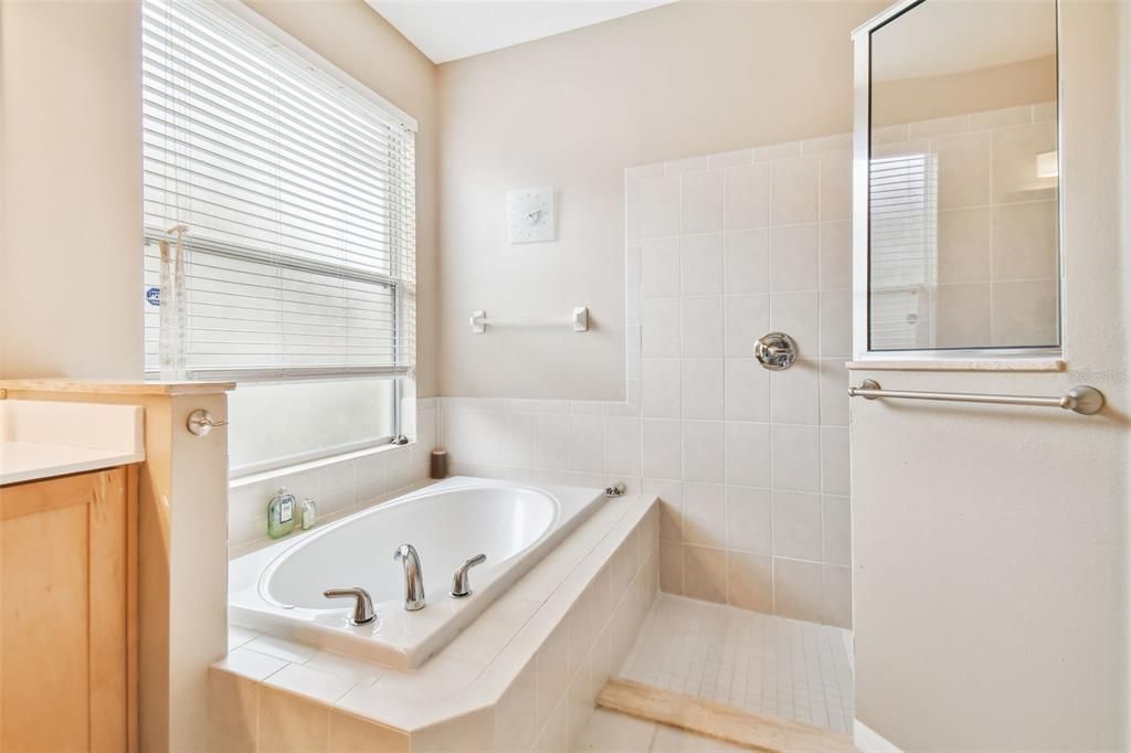 Primary Bath-Tub-Walk-in Shower