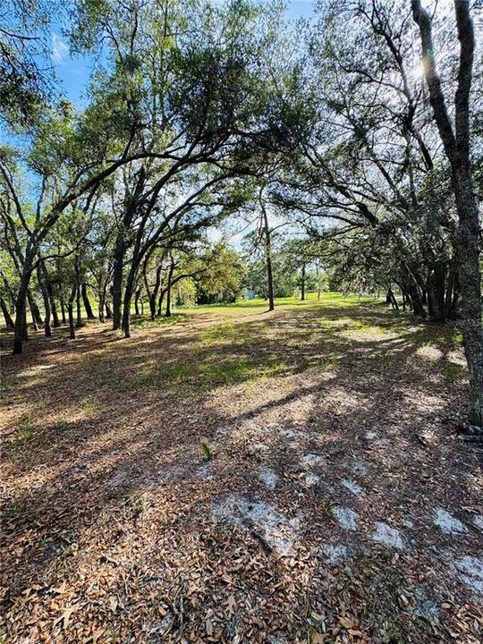 For Sale: $625,000 (3 beds, 2 baths, 2034 Square Feet)