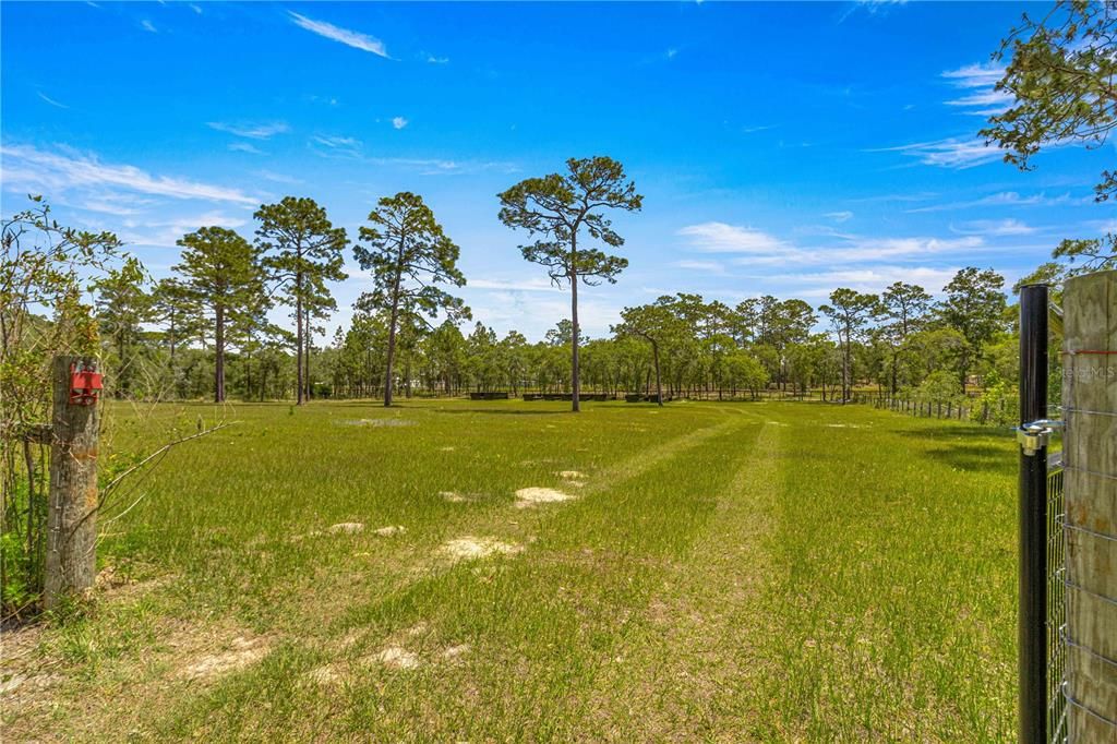 Gated entry to pasture