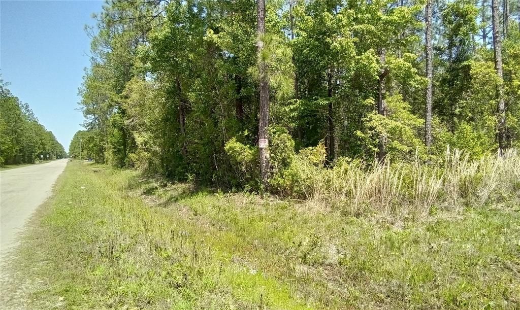 Active With Contract: $33,900 (0.93 acres)